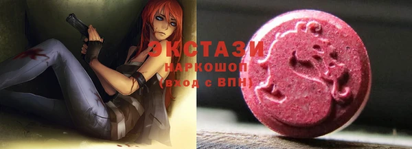 гидра Гусев