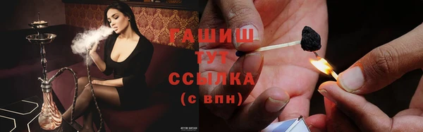 гидра Гусев