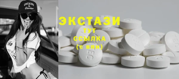 гидра Гусев