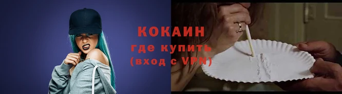 гидра Гусев