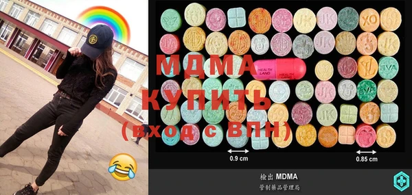 гидра Гусев