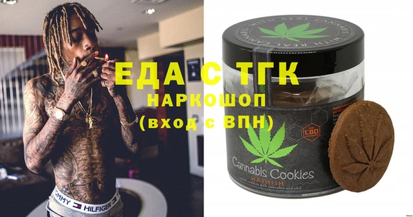 гидра Гусев
