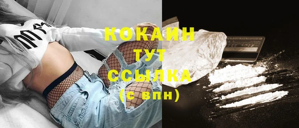 гидра Гусев