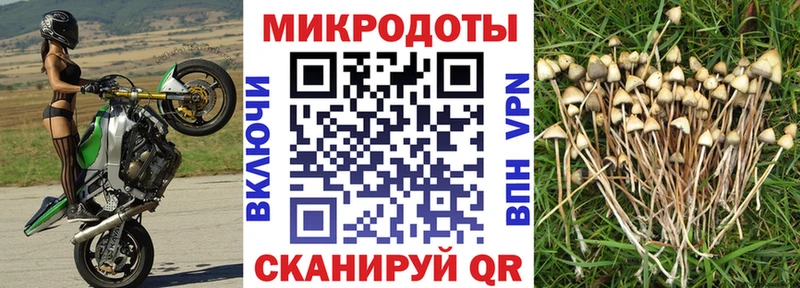 Купить закладки Луза Галлюциногенные грибы GOLDEN TEACHER